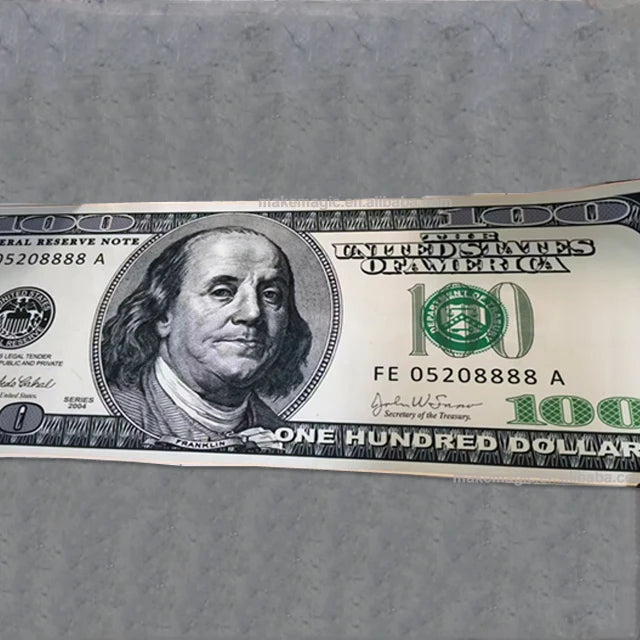 Big Money" 100 Dollar Bill Plush Area Rug